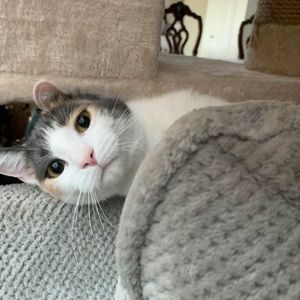 Meet your Posher, Dani